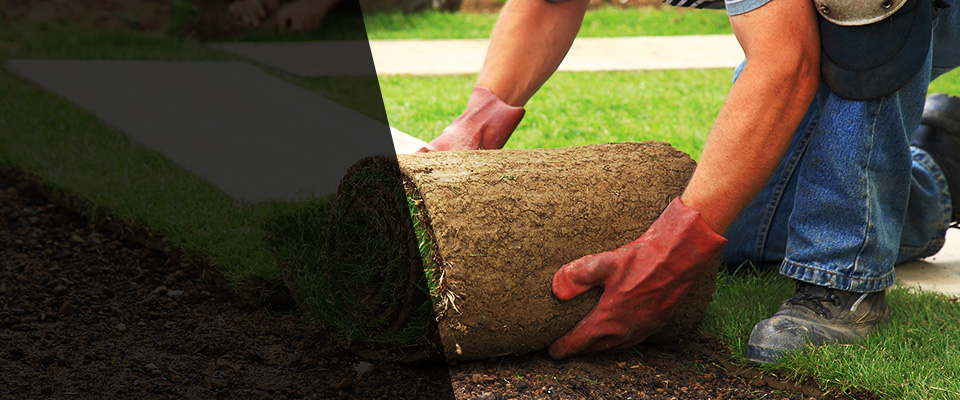 Howard Beach Landscapers